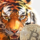 Everygame Poker is Giving Free Spins on Two Chinese Tiger Slots and EXTRA Free Spins with Bitcoin Deposits