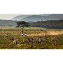 Preview: Safari Rally Kenya