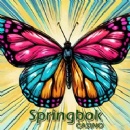 Kick off 2025 with Fresh Beginnings at Springbok Casino and Claim 25 Free Spins on the Shelltastic Wins Slot