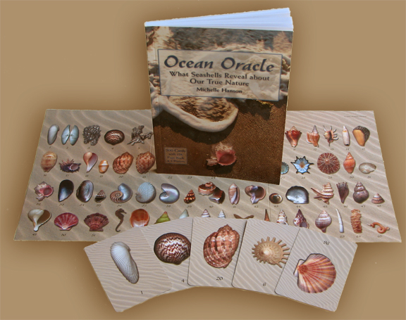 Seashell shops Divination