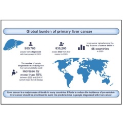 Main findings on the global burden of liver cancer in 2020 and predictions to 2040 (Credit: Journal of Hepatology).