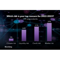 Bloomberg Risk Analytics Survey 2022