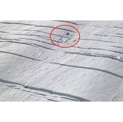 Site of incident on crevassed Kahiltna Glacier (site circled in red).