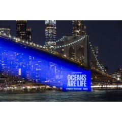 Greenpeace USA activists project scenes of beauty and fragility onto New Yorks iconic Brooklyn Bridge.
 POW / Greenpeace