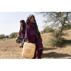 UNICEF/UN0847824/Haro
Saima, 10, (right) goes to fetch water with her sister (behind) near a contaminated pond in Allah Abad, Jampur, South Punjab, Pakistan. (see complete caption below)
