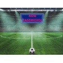 German Soccer fans fail on passwords