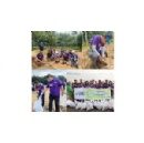 FedEx Lifts Local Communities Through Hands-on Sustainability Projects