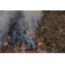 Greenpeace flight over Brazil documents the spread of deforestation and forest fires in the Amazon region