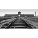 ROM to Present Acclaimed Exhibition Auschwitz. Not long ago. Not far away.