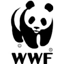 COP29: WWF response to NCQG climate finance draft text