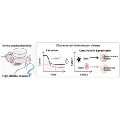  Wiley-VCH, re-use with credit to Angewandte Chemie