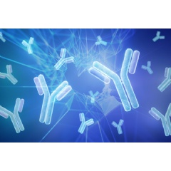 A new computational technique allows large language models to predict antibody structures more accurately.
Image: MIT News; iStock