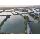 AECOM to deliver Investigation Study for Hong Kongs first Wetland Conservation Park in the Northern Metropolis