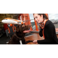 easyJet and TrustedHousesitters