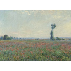 Claude Monet, Poppy Field (Champ de coquelicots), 1881, oil on canvas, Collection Museum Boijmans Van Beuningen, Rotterdam. Acquired with the collection of D.G. van Beuningen 1958 / Photo: Studio Tromp