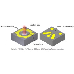 Illustration of 200Gbps PIN-PD chip for 800Gbps and 1.6Tbps optical-fiber communication