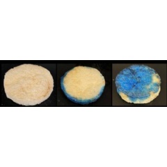 An example of the polymer foam developed by Waterloo Chemical Engineering professor Tizazu Mekonnen (left), and what the polymer looks like when it comes in contact with oil (middle, right).