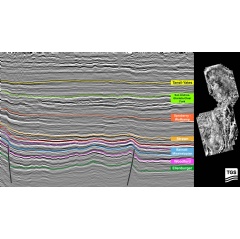 Seismic section (migrated in the time domain) extending from the eastern margin of the Central Basin Platform north into the Midland Basin and across the Dora Roberts structure.