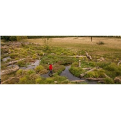 A new waterscape has been created on the Holnicote Estate in Somerset to help nature and people |  National Trust Images, James Beck