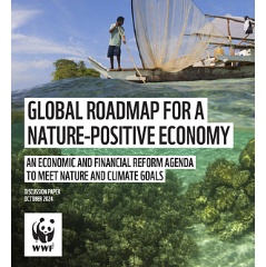 Global Roadmap for a Nature-Positive Economy
 WWF