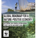 Global Roadmap for a Nature-Positive Economy