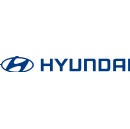 Hyundai and Genesis Issue Southern California Wildfire Relief Program