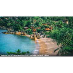 Panoramic view of tropical beach with coconut palm trees. Koh Samui, Thailand