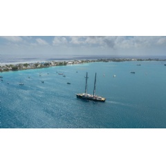  Bianca Vitale / Greenpeace
Rainbow Warrior ship entering port in Majuro, while being accompanied by three traditional Marshallese canoes