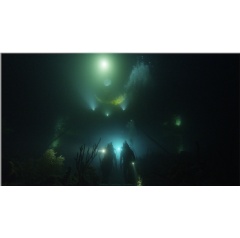Ocean explorer Fabien Cousteau leads Mission 31 team on a night exploration dive out of Aquarius underwater lab off the Florida Keys, as photographed from outside of Aquarius,  (see complete caption below)
(Image credit: Fabien Cousteau)