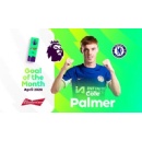 Palmer wins awards DOUBLE with Budweiser Goal of the Month