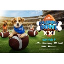 Rescue Pups Go from Shelter to Stardom in Puppy Bowl XXI on Sunday, February 9 at 2PM Et/11AM Pt