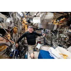 NASA astronaut and Expedition 72 Flight Engineer Butch Wilmore works inside the International Space Stations Columbus laboratory module to begin installing the European Enhanced Exploration Exercise Device. (Credit: NASA)