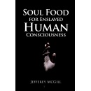 Jefferey McGill Presents Soul Food for Enslaved Human Consciousness - A Provocative Journey into Truth and Enlightenment